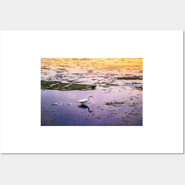 Great egret in marsh at sunset Wall Art by blossomcophoto